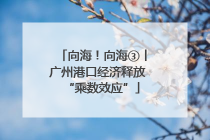 向海！向海③丨广州港口经济释放“乘数效应”