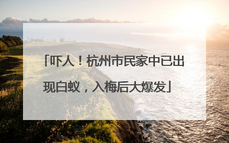 吓人！杭州市民家中已出现白蚁，入梅后大爆发