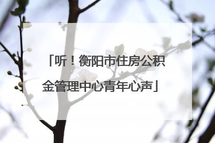听！衡阳市住房公积金管理中心青年心声