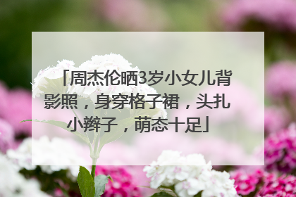周杰伦晒3岁小女儿背影照，身穿格子裙，头扎小辫子，萌态十足