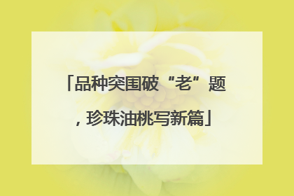 品种突围破“老”题，珍珠油桃写新篇