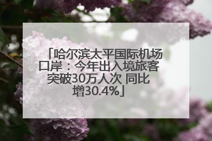 哈尔滨太平国际机场口岸：今年出入境旅客突破30万人次 同比增30.4%