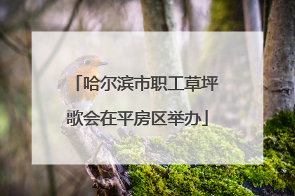 哈尔滨市职工草坪歌会在平房区举办