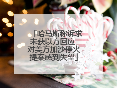 哈马斯称诉求未获以方回应 对美方加沙停火提案感到失望