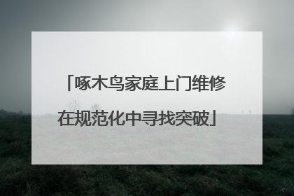 啄木鸟家庭上门维修在规范化中寻找突破