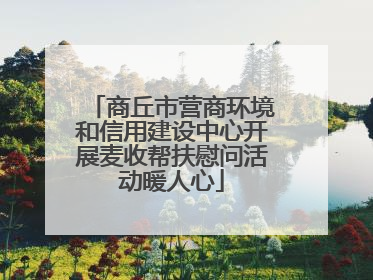 商丘市营商环境和信用建设中心开展麦收帮扶慰问活动暖人心