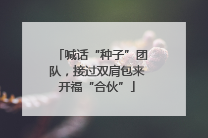 喊话“种子”团队，接过双肩包来开福“合伙”