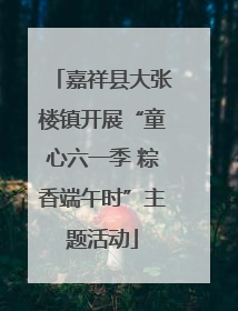 嘉祥县大张楼镇开展“童心六一季 粽香端午时”主题活动