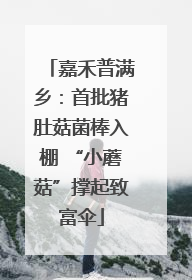嘉禾普满乡：首批猪肚菇菌棒入棚 “小蘑菇”撑起致富伞