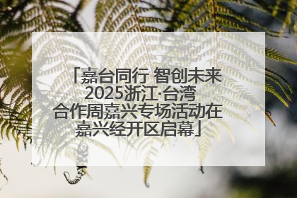 嘉台同行 智创未来 2025浙江·台湾合作周嘉兴专场活动在嘉兴经开区启幕