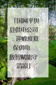 国网平舆县供电公司：迎峰度夏保供电  数智赋能守清凉
