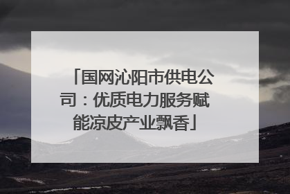 国网沁阳市供电公司：优质电力服务赋能凉皮产业飘香