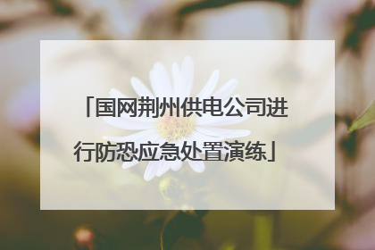 国网荆州供电公司进行防恐应急处置演练