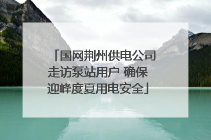 国网荆州供电公司走访泵站用户 确保迎峰度夏用电安全