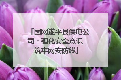 国网遂平县供电公司：强化安全意识 筑牢网安防线