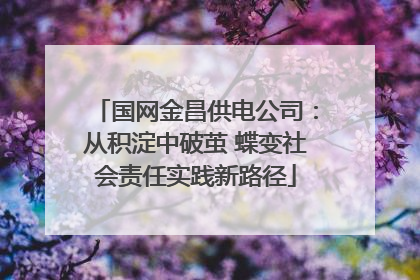 国网金昌供电公司：从积淀中破茧 蝶变社会责任实践新路径