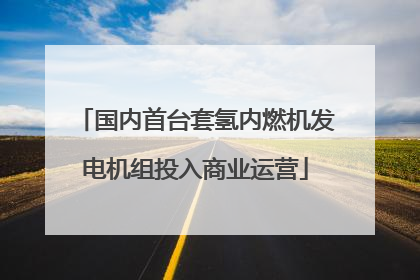 国内首台套氢内燃机发电机组投入商业运营