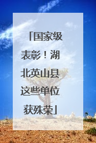 国家级表彰！湖北英山县这些单位获殊荣
