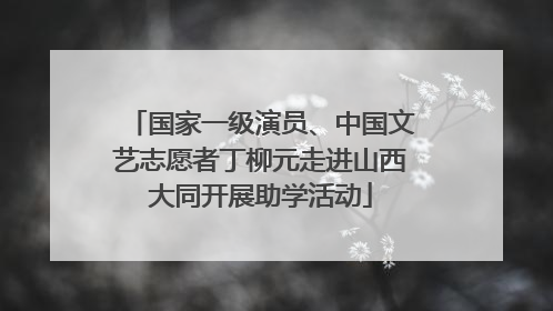 国家一级演员、中国文艺志愿者丁柳元走进山西大同开展助学活动