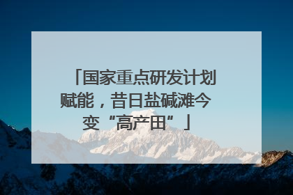 国家重点研发计划赋能，昔日盐碱滩今变“高产田”