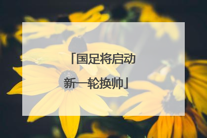 国足将启动新一轮换帅