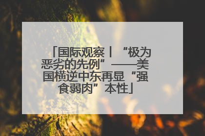 国际观察丨“极为恶劣的先例”——美国横逆中东再显“强食弱肉”本性