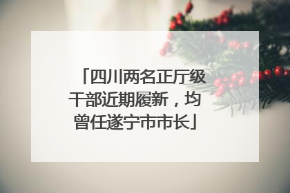 四川两名正厅级干部近期履新，均曾任遂宁市市长