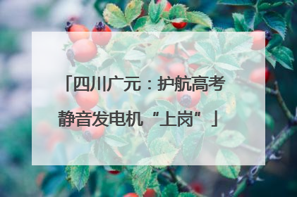 四川广元：护航高考 静音发电机“上岗”