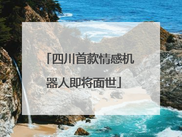 四川首款情感机器人即将面世