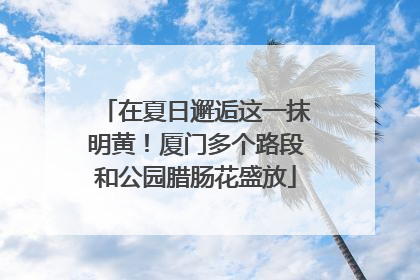 在夏日邂逅这一抹明黄！厦门多个路段和公园腊肠花盛放