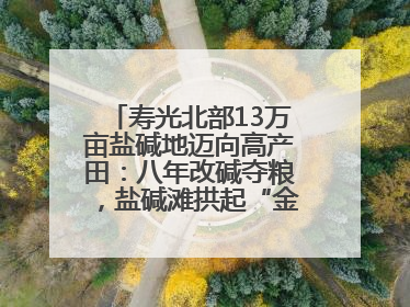 寿光北部13万亩盐碱地迈向高产田：八年改碱夺粮，盐碱滩拱起“金粮仓”