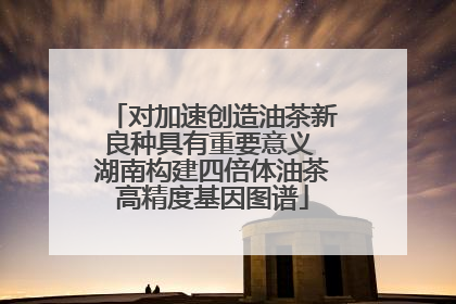 对加速创造油茶新良种具有重要意义 湖南构建四倍体油茶高精度基因图谱