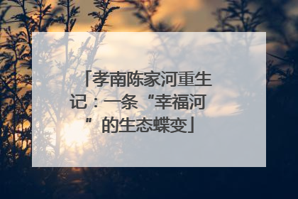 孝南陈家河重生记：一条“幸福河”的生态蝶变