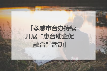 孝感市台办持续开展“惠台助企促融合”活动