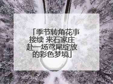 季节转角花事接续 来石家庄赴一场鸢尾绽放的彩色梦境