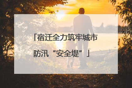 宿迁全力筑牢城市防汛“安全堤”