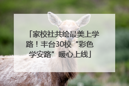 家校社共绘最美上学路！丰台30校“彩色学安路”暖心上线