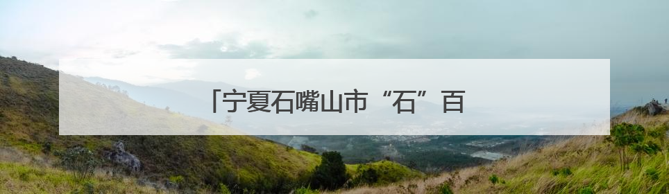 宁夏石嘴山市“石”百千万师带徒行动启动