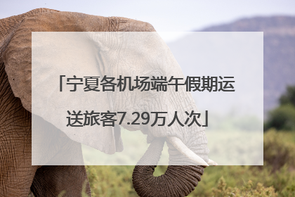 宁夏各机场端午假期运送旅客7.29万人次