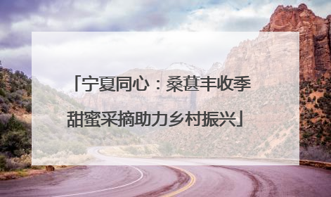 宁夏同心：桑葚丰收季 甜蜜采摘助力乡村振兴