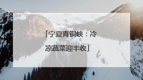 宁夏青铜峡：冷凉蔬菜迎丰收