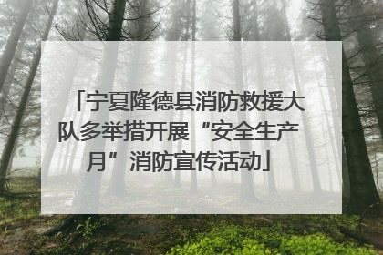 宁夏隆德县消防救援大队多举措开展“安全生产月”消防宣传活动