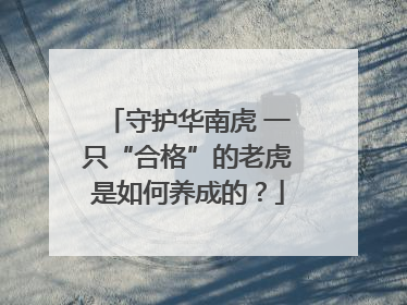 守护华南虎 一只“合格”的老虎是如何养成的？