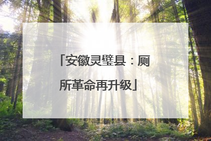 安徽灵璧县：厕所革命再升级