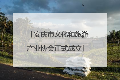 安庆市文化和旅游产业协会正式成立