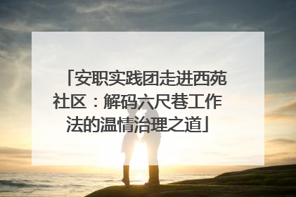 安职实践团走进西苑社区：解码六尺巷工作法的温情治理之道