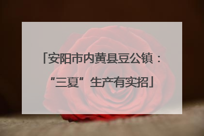 安阳市内黄县豆公镇：“三夏”生产有实招