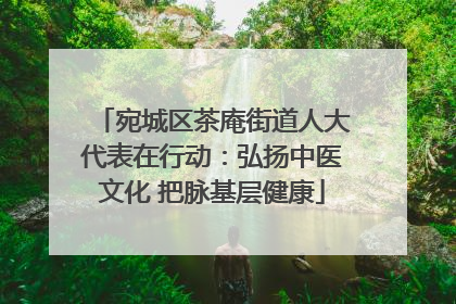 宛城区茶庵街道人大代表在行动：弘扬中医文化 把脉基层健康