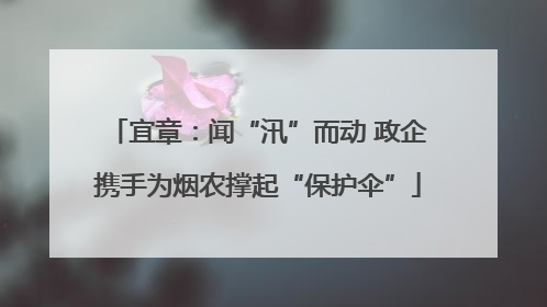 宜章：闻“汛”而动 政企携手为烟农撑起“保护伞”