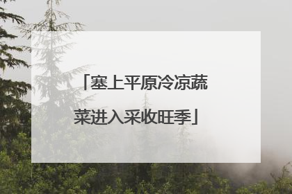 塞上平原冷凉蔬菜进入采收旺季